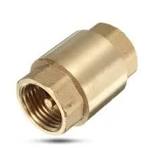check valve.jpeg